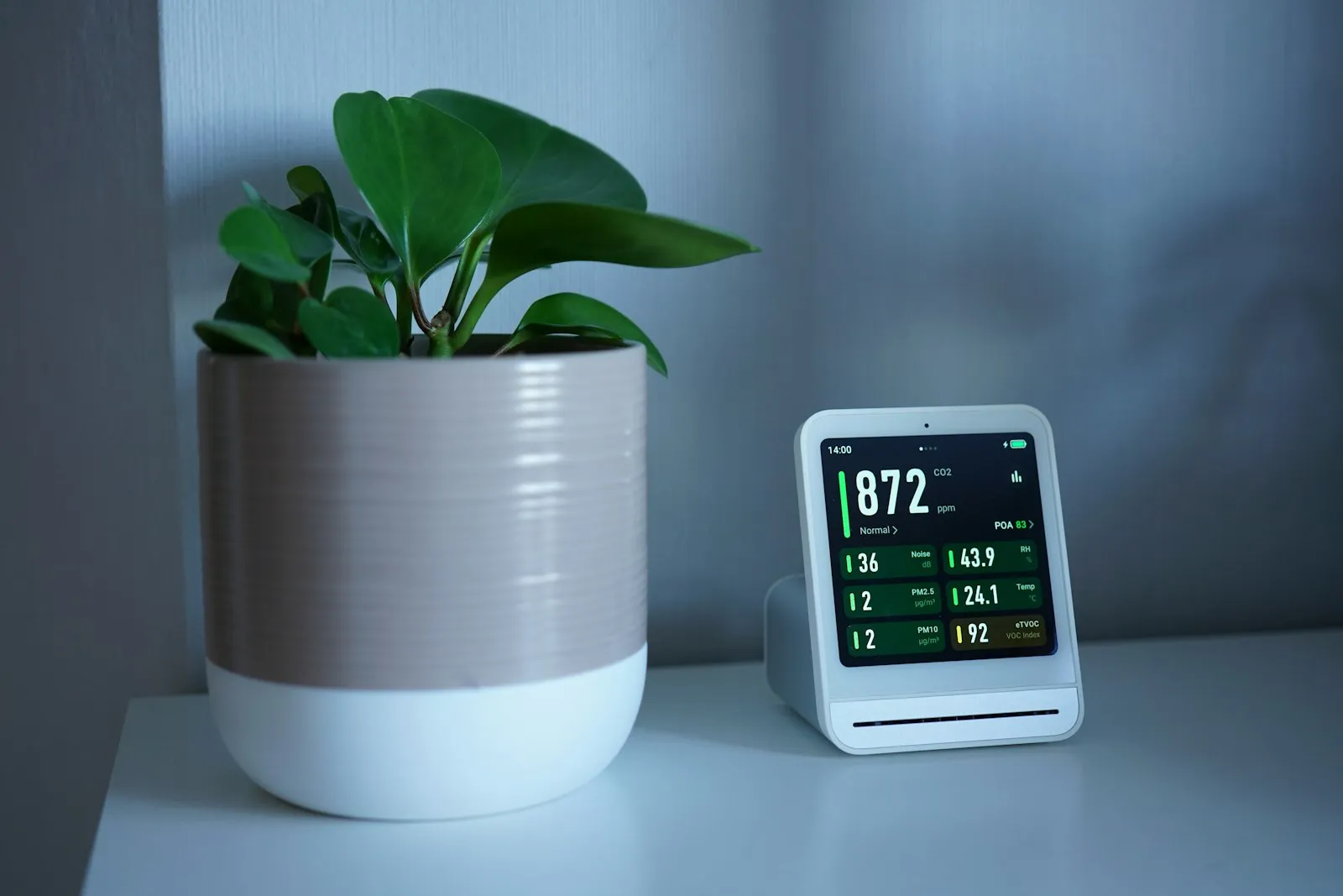 Smart display showing readings beside a plant